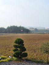 팜모닝 기타작물·영농일지 게시글 이미지