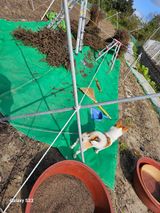 팜모닝 들깨·영농일지 게시글 이미지