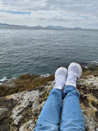 초보경영자님의 기타작물 · 영농일지 작성글 사진