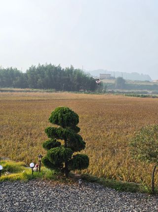 김경자님의 기타작물 · 영농일지 작성글 사진