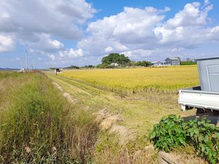 고산1128님의 벼 · 영농일지 작성글 사진