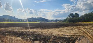 조성현님의 양파 · 영농일지 작성글 사진