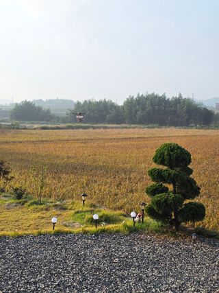 김경자님의 기타작물 · 영농일지 작성글 사진