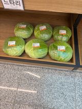 팜모닝 양배추·영농일지 게시글 이미지