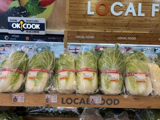 김영완님의 양배추 · 영농일지 작성글 사진