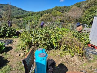 이준영님의 기타작물 · 영농일지 작성글 사진