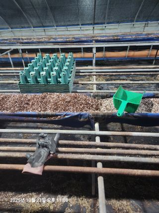 상월딸기 박명근님의 딸기 · 영농일지 작성글 사진