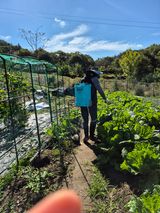팜모닝 기타작물·영농일지 게시글 이미지