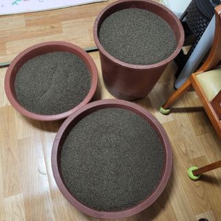 심춘식님의 기타작물 · 영농일지 작성글 사진