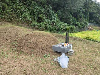 서동일님의 기타작물 · 영농일지 작성글 사진