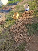 팜모닝 기타작물·영농일지 게시글 이미지