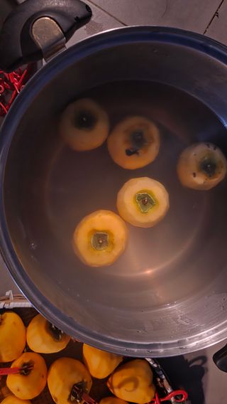 허인녕님의 감 · 영농일지 작성글 사진