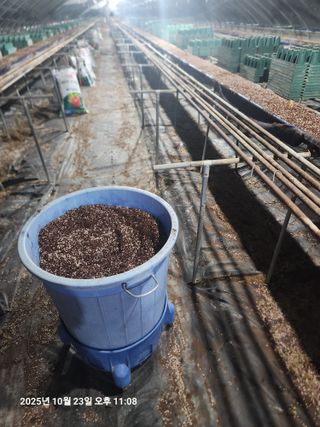 상월딸기 박명근님의 딸기 · 영농일지 작성글 사진