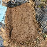 팜모닝 양파·영농일지 게시글 이미지