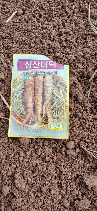 정연섭님의 기타작물 · 영농일지 작성글 사진