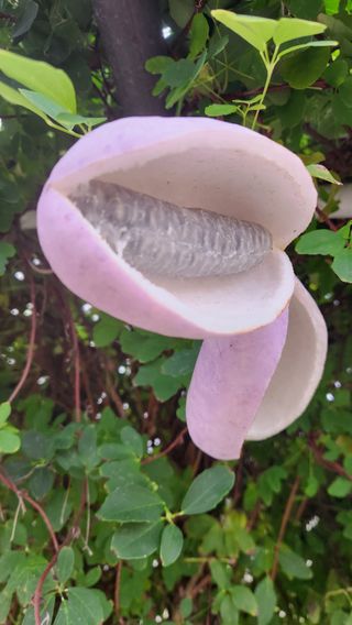 이후성님의 기타작물 · 영농일지 작성글 사진