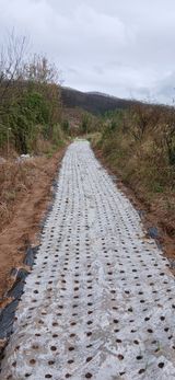 팜모닝 기타작물·영농일지 게시글 이미지