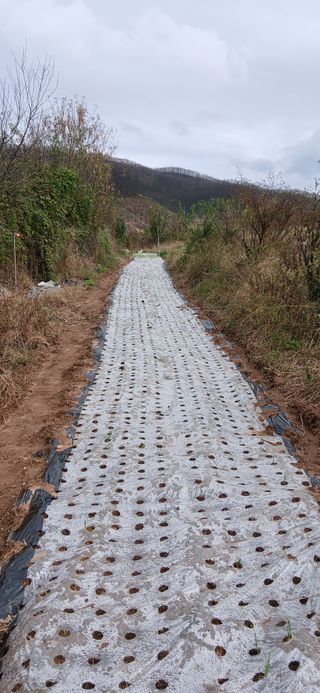 정연섭님의 기타작물 · 영농일지 작성글 사진