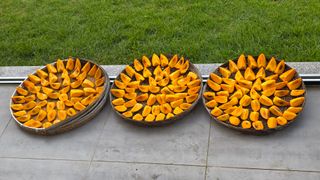 허인녕님의 감 · 영농일지 작성글 사진