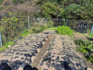 이준영님의 기타작물 · 영농일지 작성글 사진