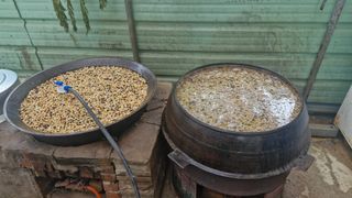 이철수님의 기타작물 · 영농일지 작성글 사진