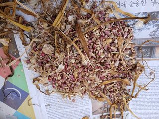 화우농원님의 마늘 · 영농일지 작성글 사진