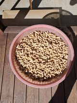 팜모닝 기타작물·영농일지 게시글 이미지