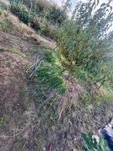 팜모닝 고추·영농일지 게시글 이미지