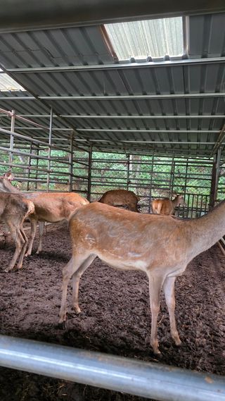 곡성군죽곡정안수님의 기타작물 · 영농일지 작성글 사진