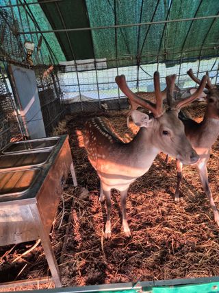 곡성군죽곡정안수님의 기타작물 · 영농일지 작성글 사진