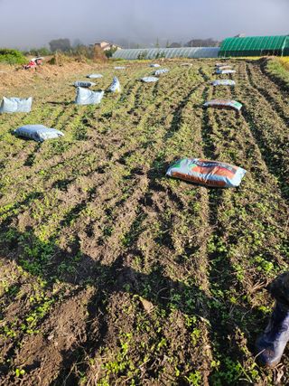 김해열님의 기타작물 · 영농일지 작성글 사진