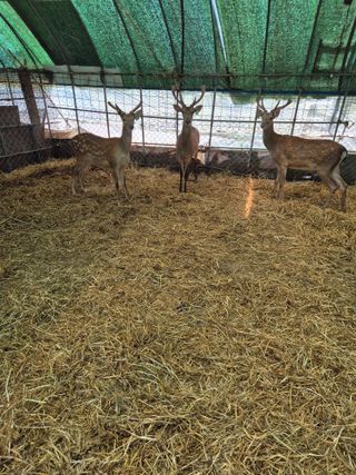 곡성군죽곡정안수님의 기타작물 · 영농일지 작성글 사진