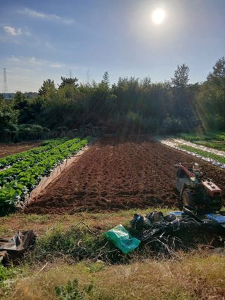 김형수님의 기타작물 · 영농일지 작성글 사진