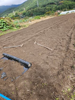 김해열님의 기타작물 · 영농일지 작성글 사진