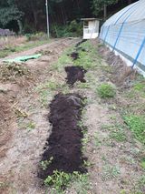 팜모닝 기타작물·영농일지 게시글 이미지