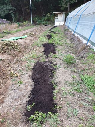 샤이니바다님의 기타작물 · 영농일지 작성글 사진