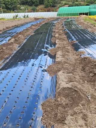 김해열님의 기타작물 · 영농일지 작성글 사진