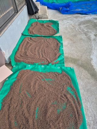 김연숙님의 기타작물 · 영농일지 작성글 사진