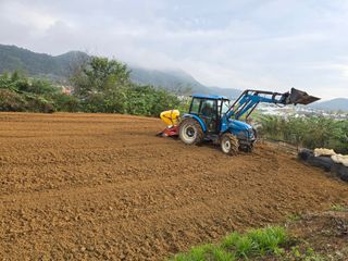 임영규님의 기타작물 · 영농일지 작성글 사진