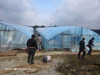 상월딸기 박명근님의 딸기 · 영농일지 작성글 사진