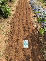 팜모닝 기타작물·영농일지 게시글 이미지