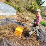 팜모닝 기타작물·영농일지 게시글 이미지