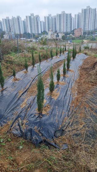 정승조님의 기타작물 · 영농일지 작성글 사진