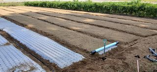 이형근님의 마늘 · 영농일지 작성글 사진