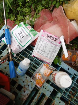 김형수님의 기타작물 · 영농일지 작성글 사진