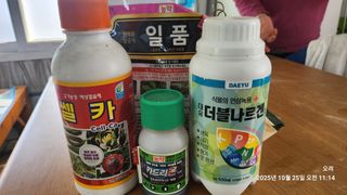 토마토11823님의 기타작물 · 영농일지 작성글 사진