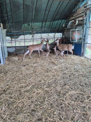 곡성군죽곡정안수님의 기타작물 · 영농일지 작성글 사진