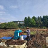 팜모닝 들깨·영농일지 게시글 이미지