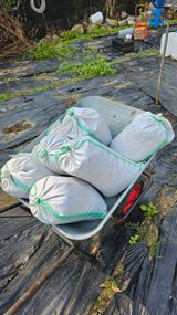 팜모닝 들깨·영농일지 게시글 이미지