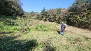 장흥 모경화 님의 기타작물 · 영농일지 작성글 사진